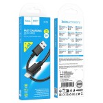 Кабель Lightning Borofone BX119 New (100 см) Черный
